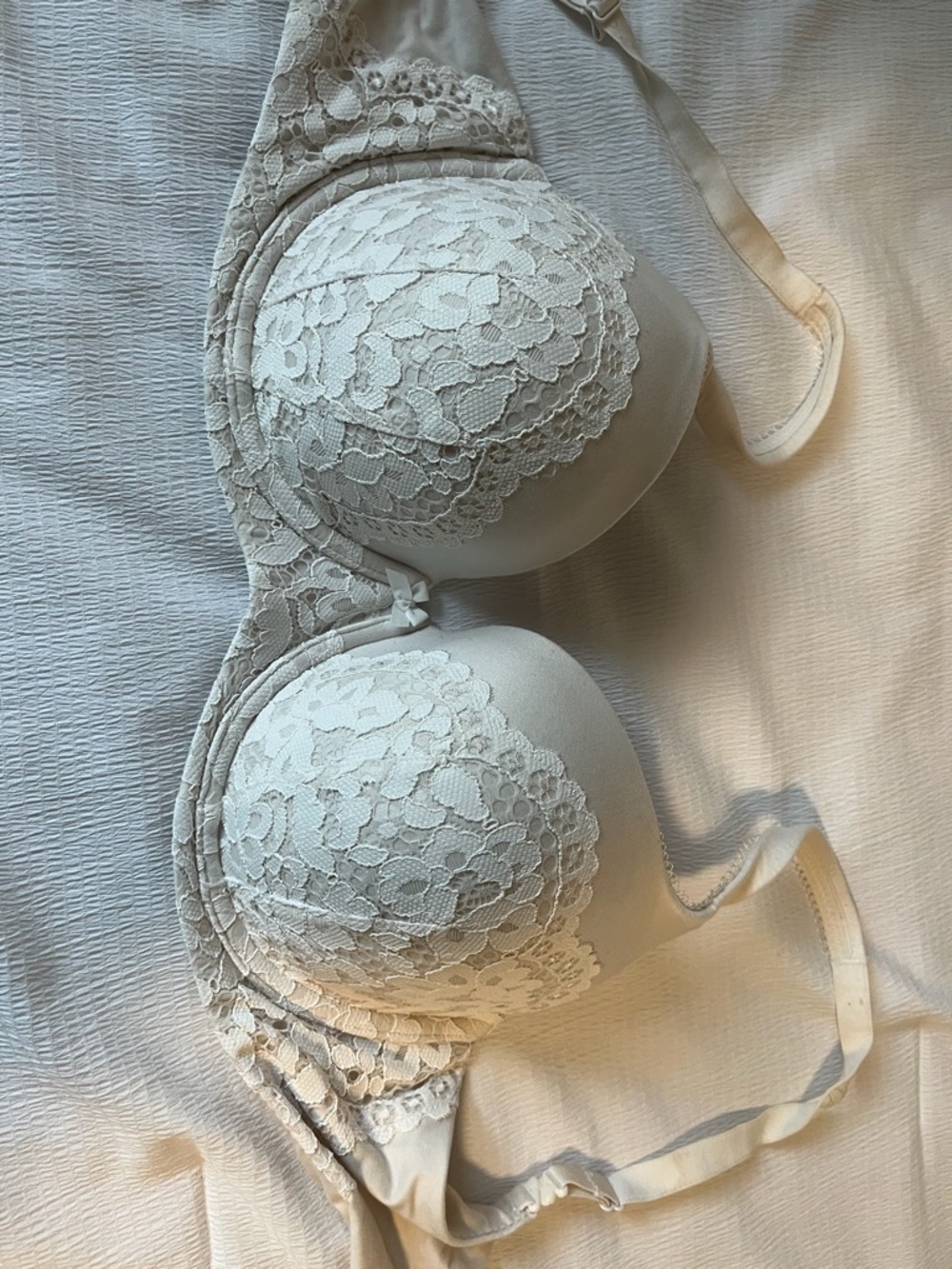 Lace Trim Padded T-Shirt Bra in Cream 34DDD